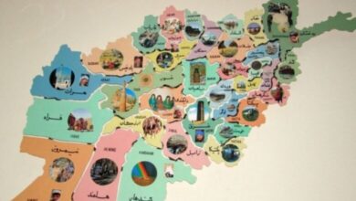 منفعت طلبی قومی در افغانستان: ریشه ها و عوامل