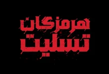 همبستگی حوزه تمدنی